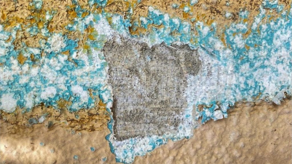 Safe removal of asbestos and lead in your building