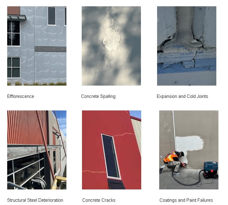 What services do building renovation contractors offer?